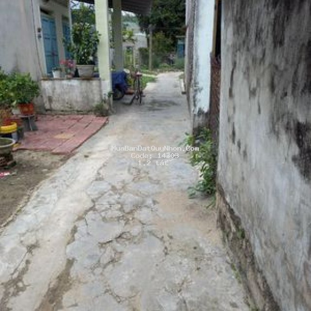 Bán đất thôn vân hội 2 tt.diêu trì tuy phước
