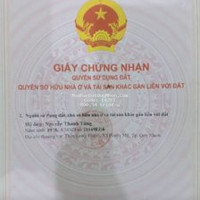 Bán đất trồng rừng sản xuất. sổ đỏ chính chủ.