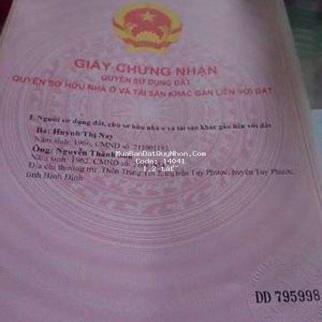 Bán đất tt tuy phước , bình định