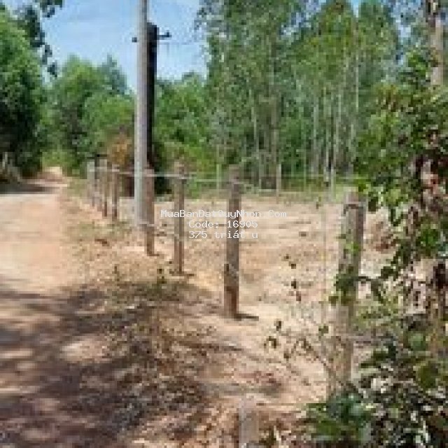 Bán đất vườn tại an sơn 2- tuy phước