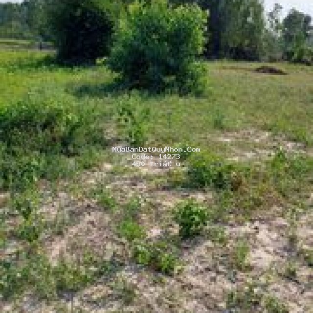 Bán lô đất 1000m2 giá 450 triệu
