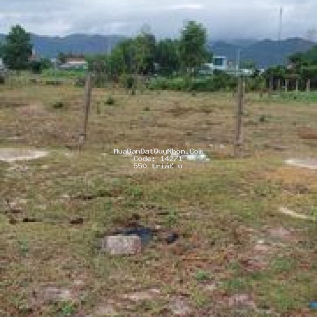 Bán lô đất 1400m2 ở phước thành giá 550 triêij