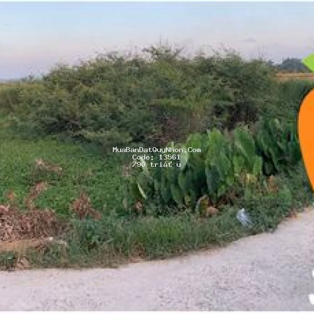 Bán lô đất chính chủ khu qhdc hoà đông, tx an nhơn