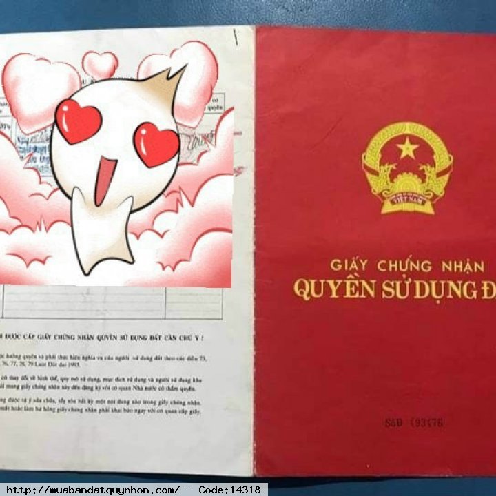 Bán lô đất mặt tiền đường Lê Đại Hành_P Đống Đa_TP Quy Nhơn, gần cầu Hà thanh, khu dân cư đông đúc, an ninh tốt  - Diện tích 73,6m2 (ngang 4m) - Giá 4 tỷ (thương lượng)
