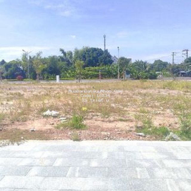 Bán lô đất nền biệt thự ,nhà phố vị trí đẹp