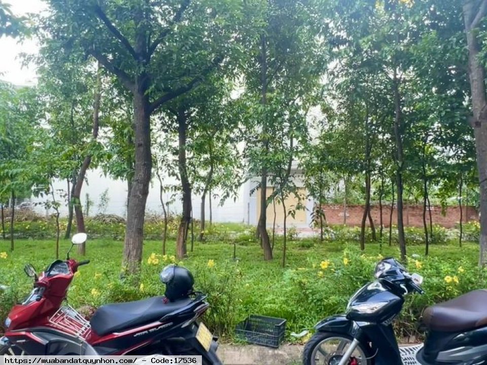 Bán lô đất Nội bộ Ô tô đường Hoàng Minh Thảo - P Đống Đa - TP Quy Nhơn - Diện tích 50m2 (ngang 5m) - Hướng Đông Bắc  - Giá bán: 2,450 tỷ
