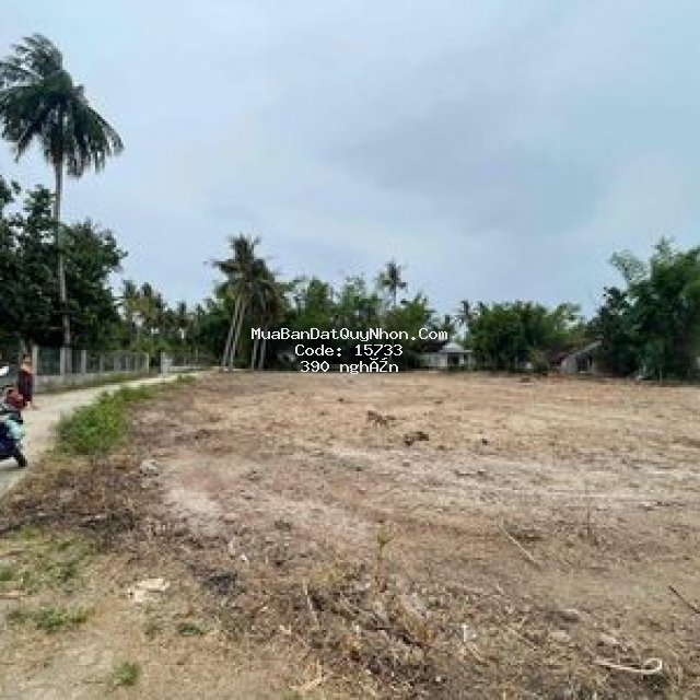Bán lô đất phù mỹ bình định 735m2 thổ cư 200m2