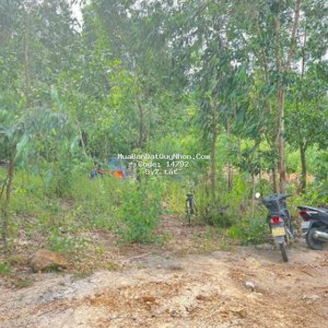 Bán lô đất tại chánh liêm, cát tường