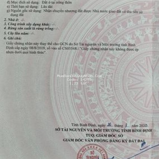 Bán lô góc xã cát thành gần trường thpt ngô lê tân