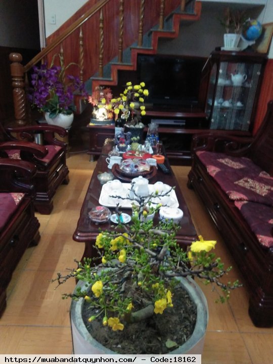 Bán nhà gần chợ kinh doanh buôn bán - gần cầu đôi và căn hộ EcoLife điện biên phủ - Hướng: Bắc - Diện tích: 65m2 - Nhà xây kiêng cố kết cấu 1 mê - giá bán 3,5 tỷ 