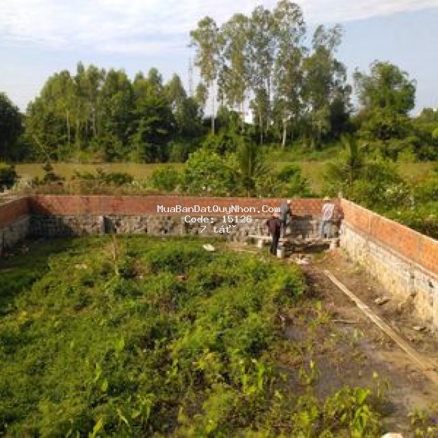 Bán nhà mặt tiền 498m2