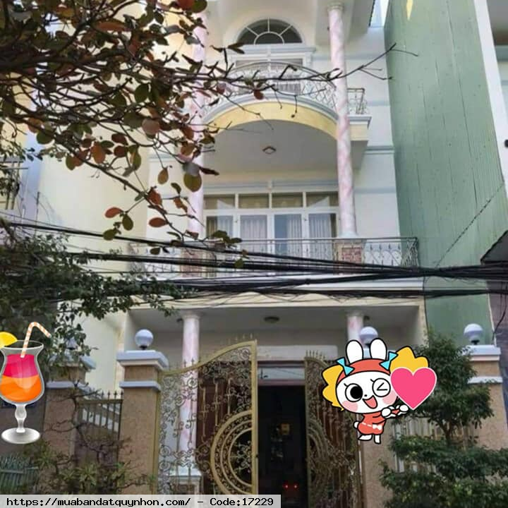 Bán nhà mặt tiền kiểu biệt thự phố_P Quang Trung_TP Quy Nhơn - Diện tích: 124,6m2 ngang 6m - Giá bán: 9 tỷ 800 triệu