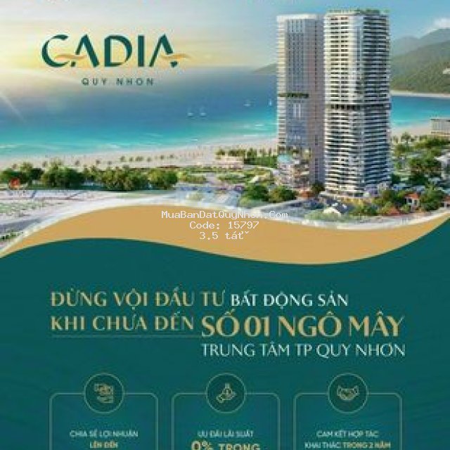 Cadia quy nhơn-cam kết 2 năm đầu từ 𝟯𝟴𝟰𝙩𝙧 - 𝟲𝟳𝟮𝙩𝙧.