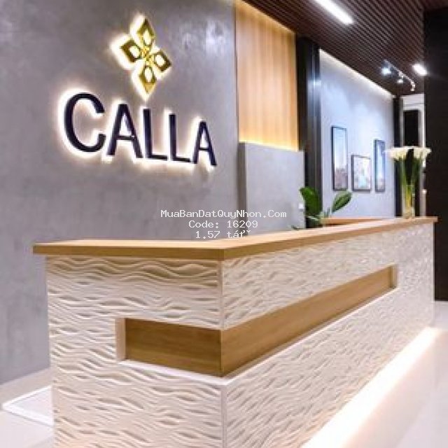 Calla apartment căn hộ cao cấp view biển sân vườn