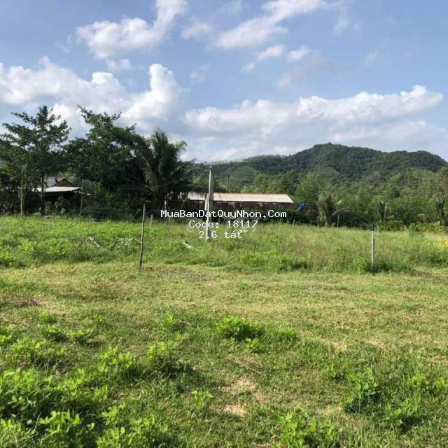 Cần bán đất