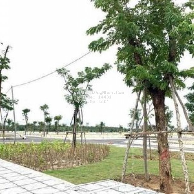 Cần bán đất biển quy nhơn, gần quảng trường biển