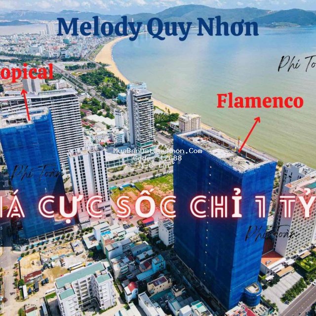 Cần bán gấp căn hộ melody quy nhơn giá chỉ 1 tỷ 6