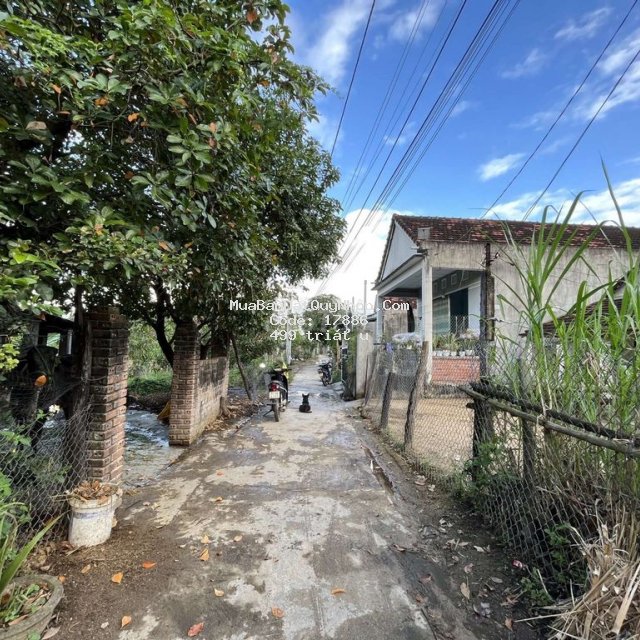 Cần bán lô đất gần mẫu giáo bình tường