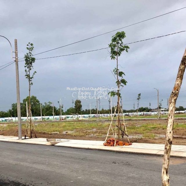 Cần bán lô đất mặt tiền quốc lộ 1a