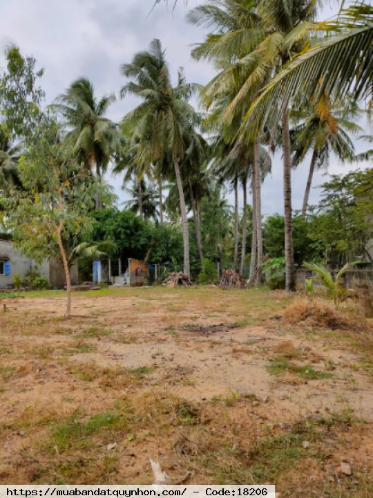 Cần bán lô đất ngay khu tái định cư cách đường Thái Lợi - Cửu Lợi Nam - Tam Quan Nam - Hoài Nhơn - Bình Định - diện tích 414m2 (thổ cư 100m2) - Giá bán: 1 tỷ  450 triệu