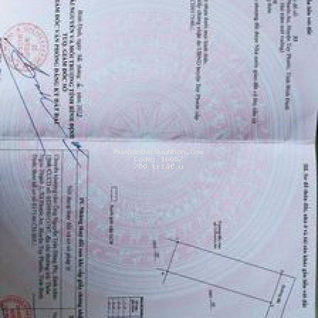 Cần bán lô đất tại phước an -tuy phước -bình định