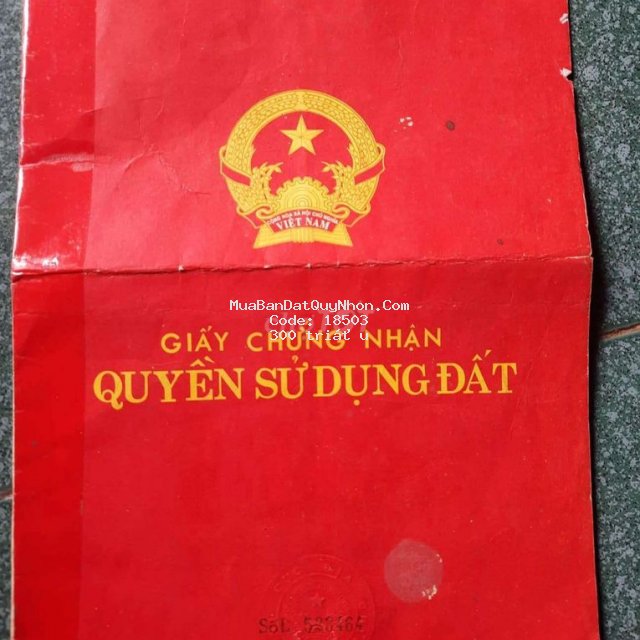 Cần bán lúa non