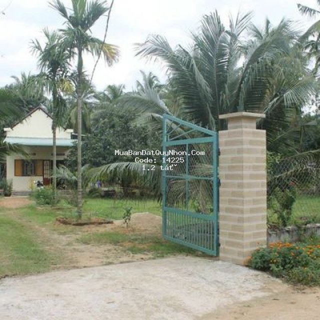 Cần bán nhà có vườn cây ăn trái