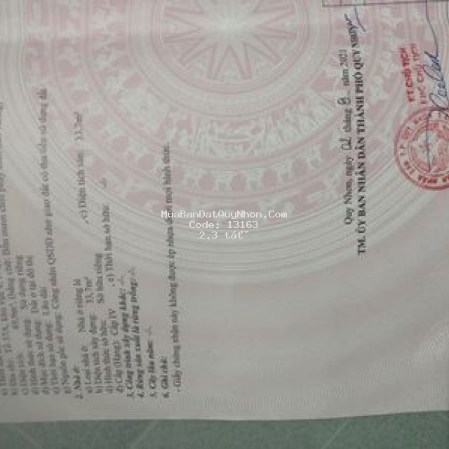 Cần bán nhà đường trục đường ô tô  223/9 tây sơn