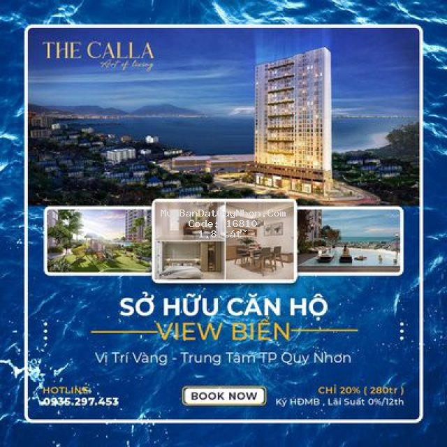 Căn hộ calla  apartment view biển giá chỉ từ 280tr
