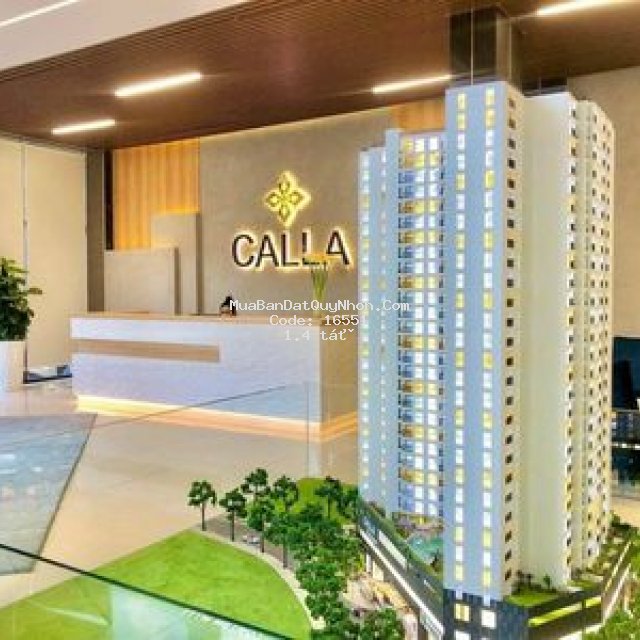 Căn hộ đầu tiên có sân vườn tại quy nhơn  ️