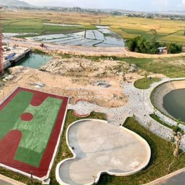 Căn hộ ecohome nhơn bình giá 494 triệu