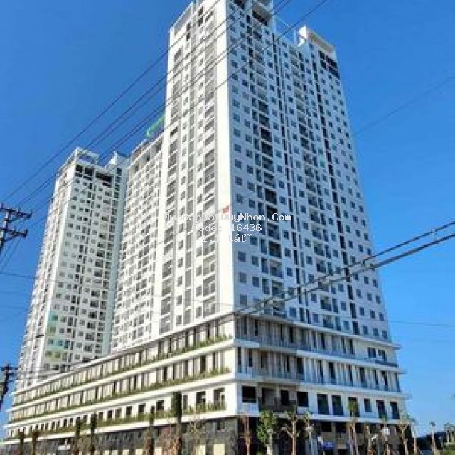 Căn hộ ecolife riverside. liên hệ nhận báo giá