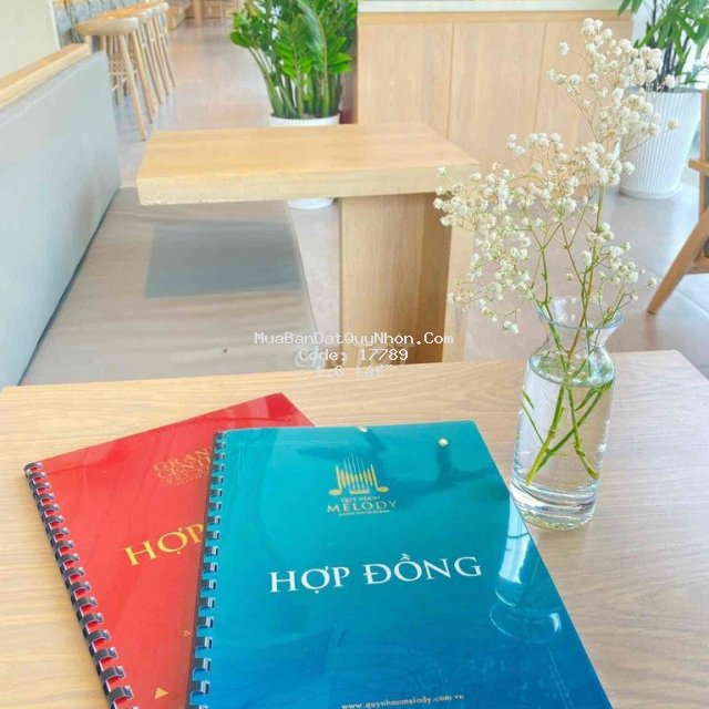 Căn hộ trung tâm quy nhơn. view biển giá 1 tỷ 6