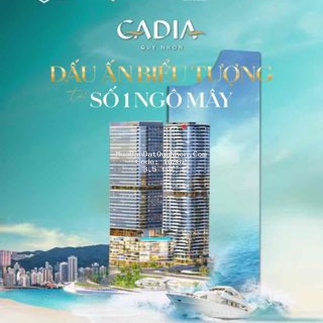 Căn hộ view trực biển vịnh quy nhơn