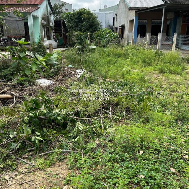 Cần mua đất an nhơn