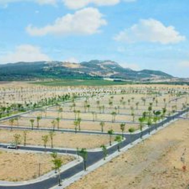 Cần ra mấy lô liền kề dự án nhơn hội new city