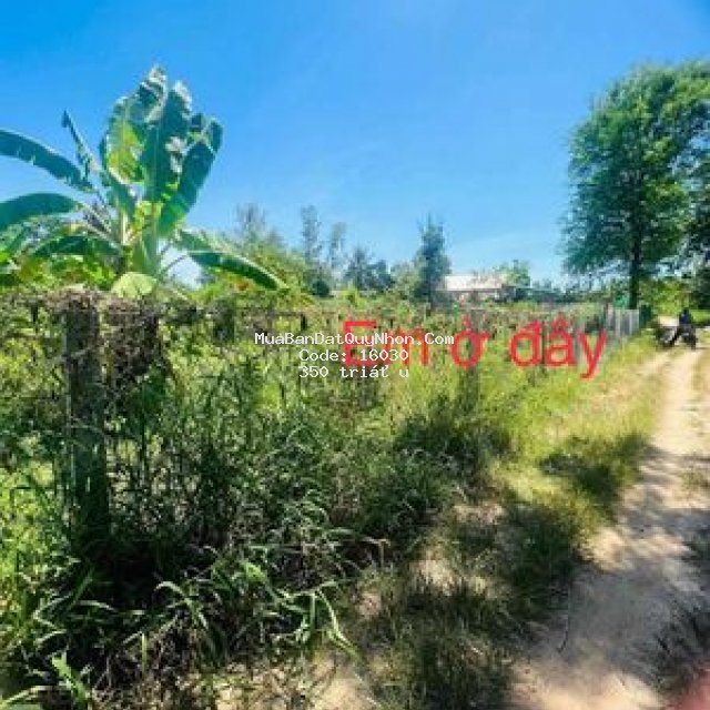 Cát lâm phù cát ngang10x20m70thổ cư giá 350tr