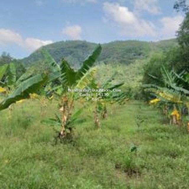Cc cần bán lô đất tại xã phước mỹ, tp quy nhơn