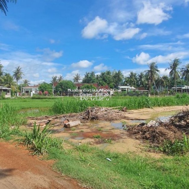 Chính chủ bán đất thôn lương trung, xã mỹ chánh,