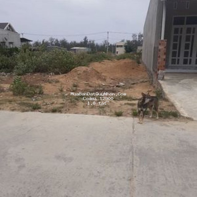 Chính chủ bán đất vị trí đẹp tại tân thanh cát hải