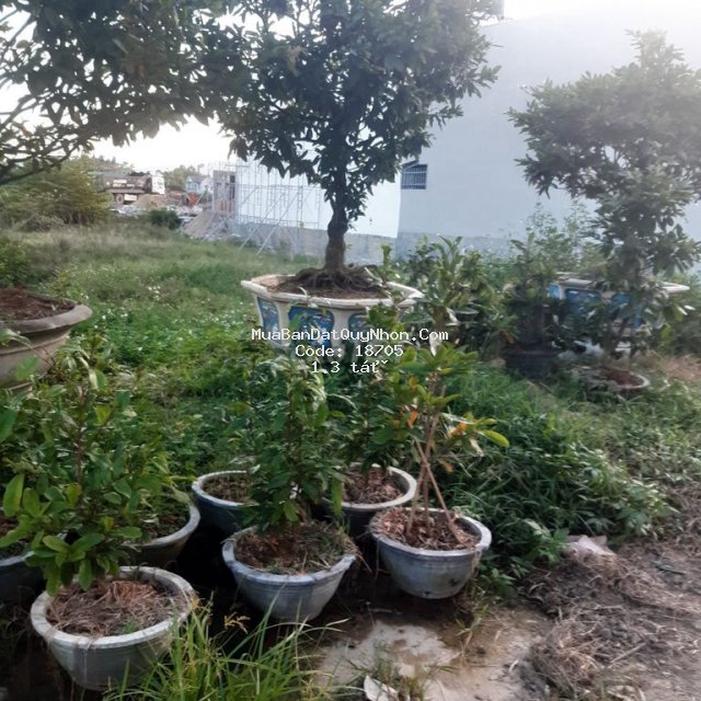 Chính chủ cần bán