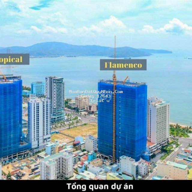 Chính chủ cần tiền bán gấp căn hộ view biển giá rẻ