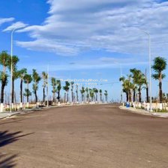 đất biển quy nhơn sổ đỏ lâu dài, chiết khấu khủng