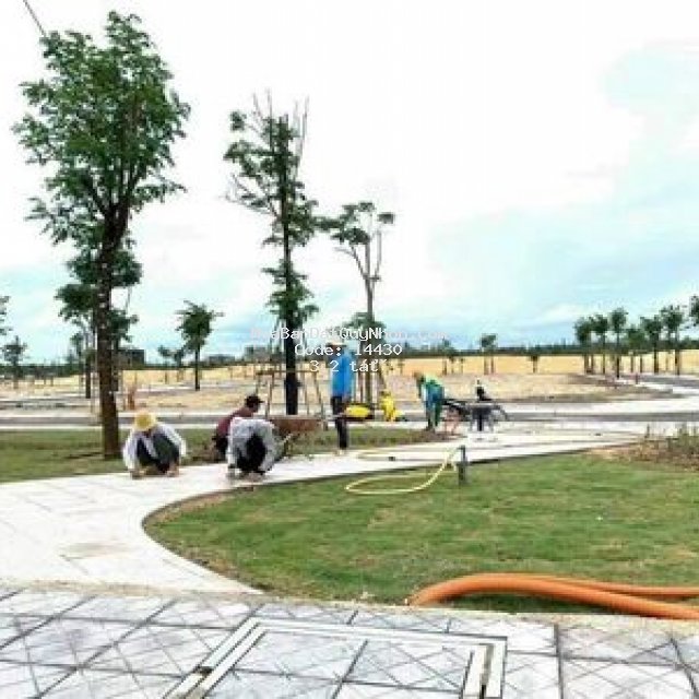 đất biển quy nhơn,sổ đỏ lâu dài