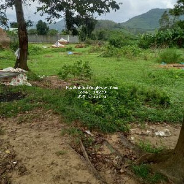 đất đẹp gần cổng khu du lịch hầm hô quy nhơn