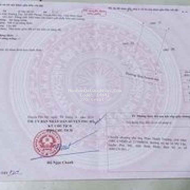 đất mỹ phong huyện phù mỹ, bình định