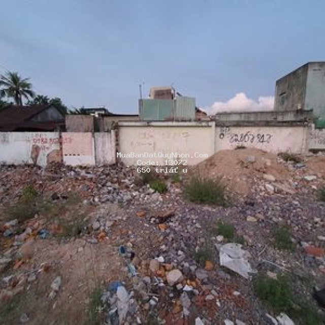 đất nền khu dân cư - p bùi thị xuân - tp quy nhơn