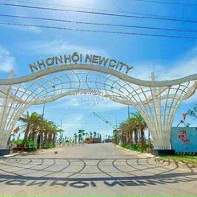 đất nền nhơn hội newcity đang rất sốt