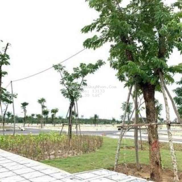 đất nền sổ đỏ ven biển, cạnh sân golf flc quy nhơn