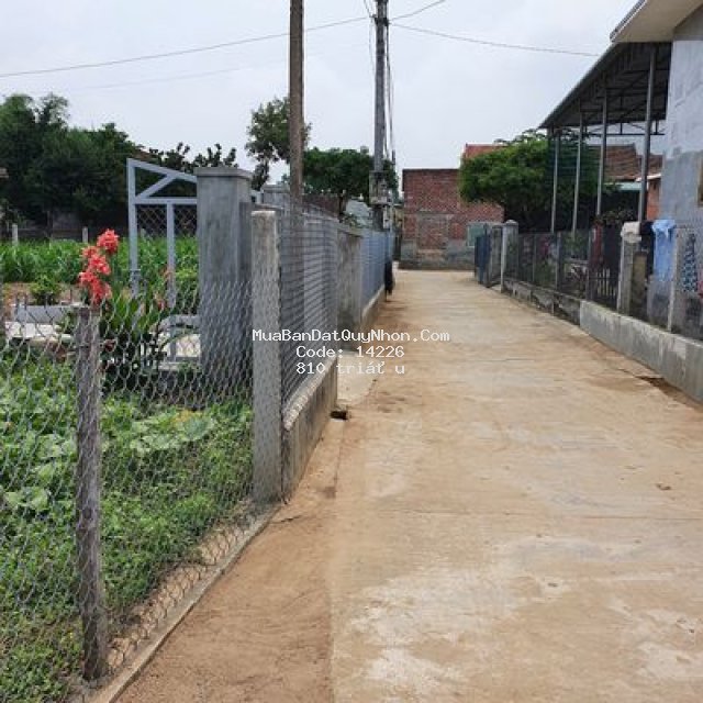 đất nhà vườn biệt thự